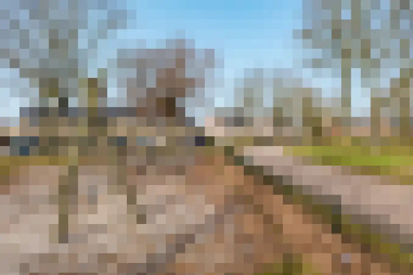 Te Nijenhuiswei 35 A Wijnjewoude thumbnail 18