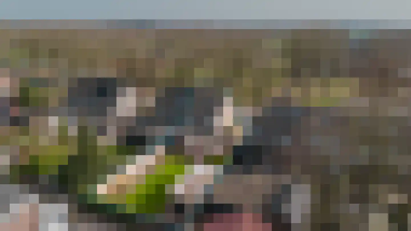 Te Nijenhuiswei 35 A Wijnjewoude thumbnail 21