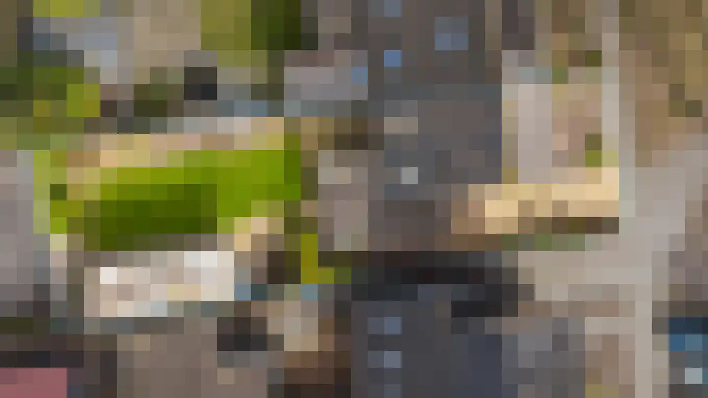 Te Nijenhuiswei 35 A Wijnjewoude thumbnail 22