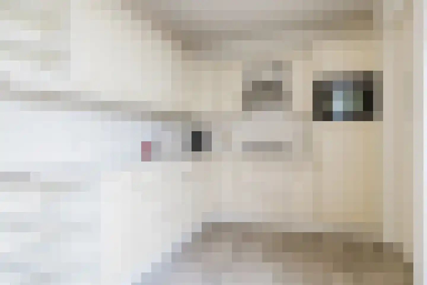 Te Nijenhuiswei 35 A Wijnjewoude thumbnail 4
