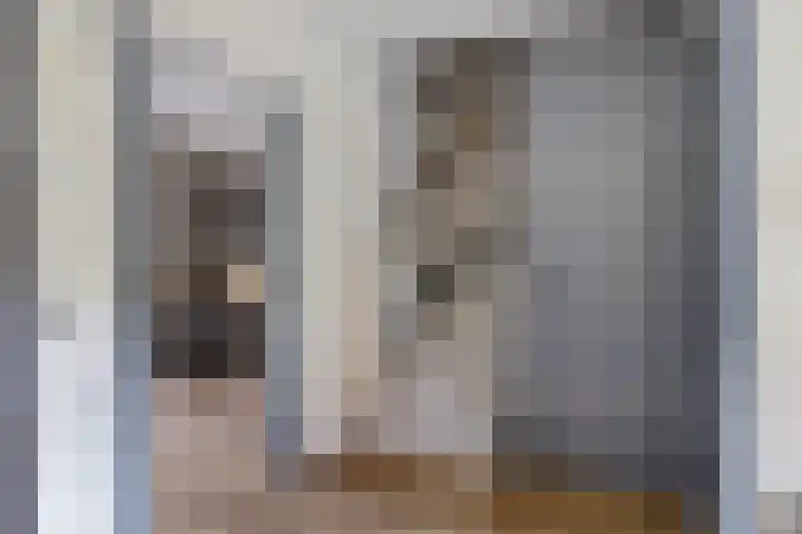 Te Nijenhuiswei 35 Wijnjewoude thumbnail 15