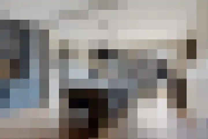 Te Nijenhuiswei 35 Wijnjewoude thumbnail 16