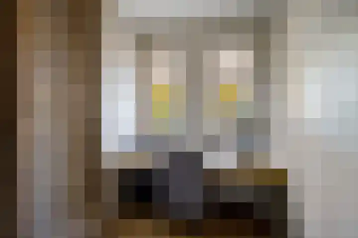 Te Nijenhuiswei 35 Wijnjewoude thumbnail 23