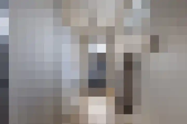 Te Nijenhuiswei 35 Wijnjewoude thumbnail 24