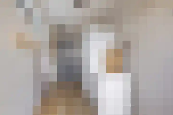 Te Nijenhuiswei 35 Wijnjewoude thumbnail 25
