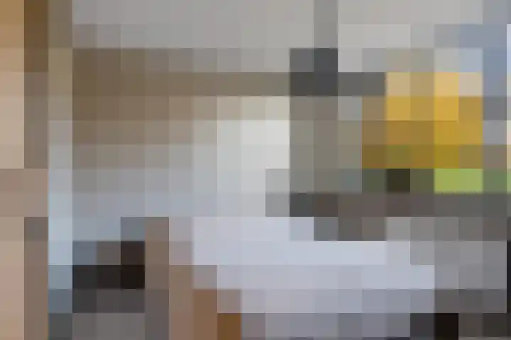Te Nijenhuiswei 35 Wijnjewoude thumbnail 31