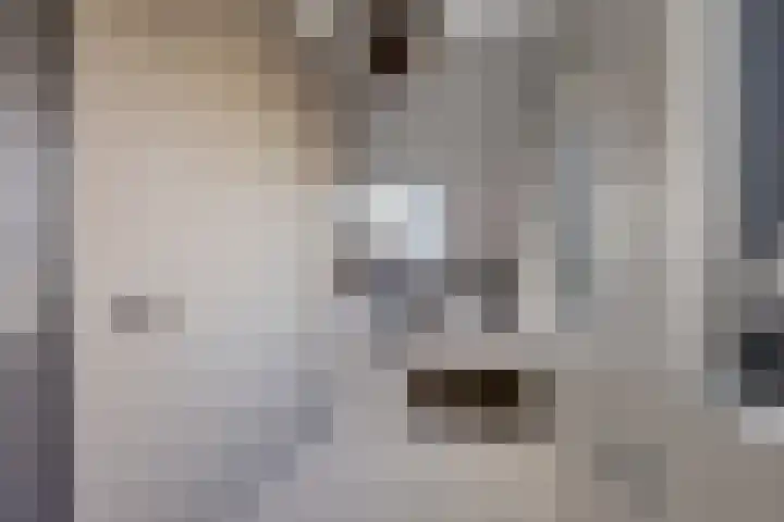 Te Nijenhuiswei 35 Wijnjewoude thumbnail 33