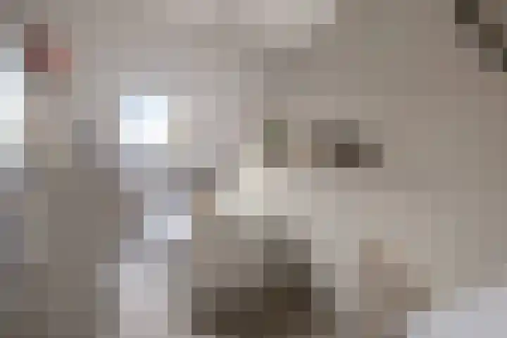 Te Nijenhuiswei 35 Wijnjewoude thumbnail 36