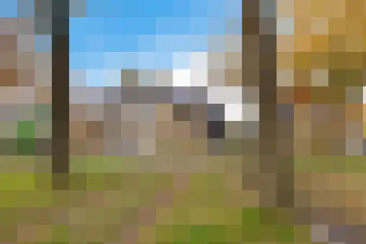 Te Nijenhuiswei 35 Wijnjewoude thumbnail 8