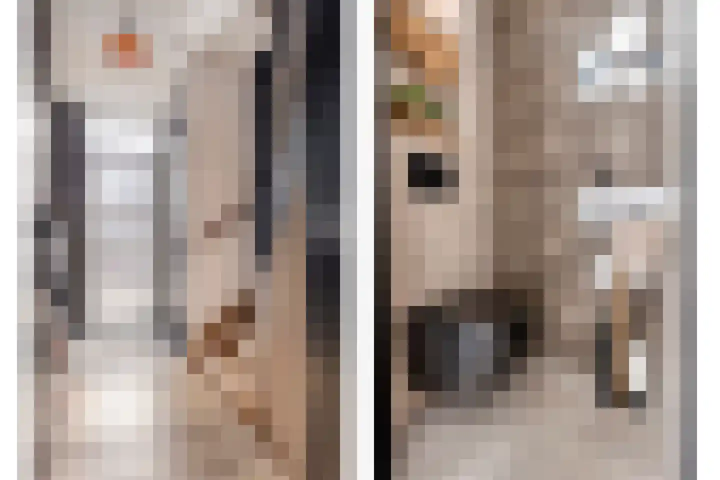Te Waterstraat 2 Axel thumbnail 8