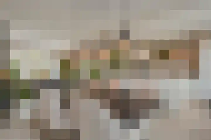 Te Werve 17 Almelo thumbnail 10