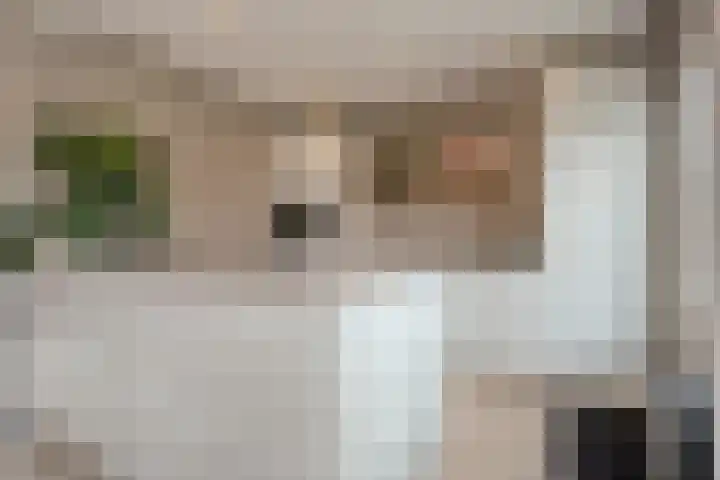 Te Werve 17 Almelo thumbnail 12