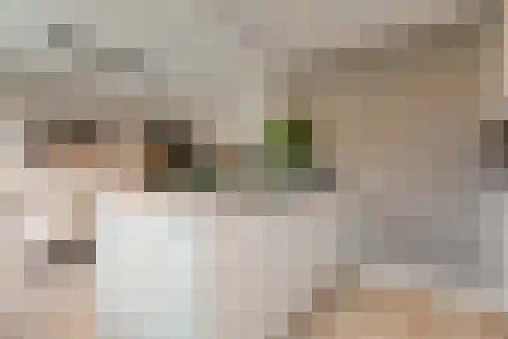Te Werve 17 Almelo thumbnail 13