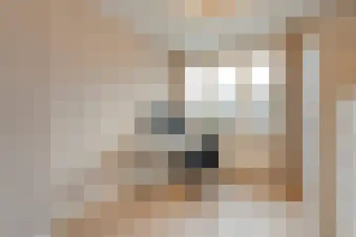 Te Werve 17 Almelo thumbnail 18