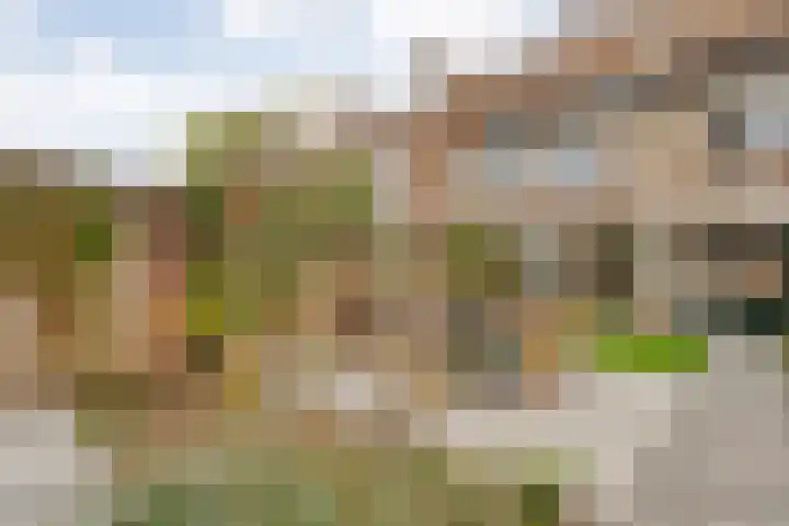 Te Werve 17 Almelo thumbnail 25