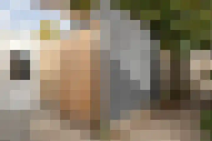 Te Werve 17 Almelo thumbnail 27