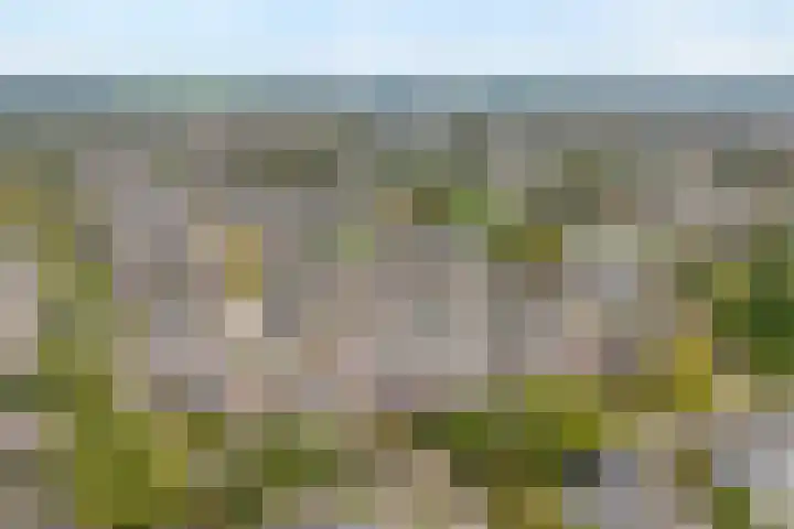 Te Werve 17 Almelo thumbnail 28