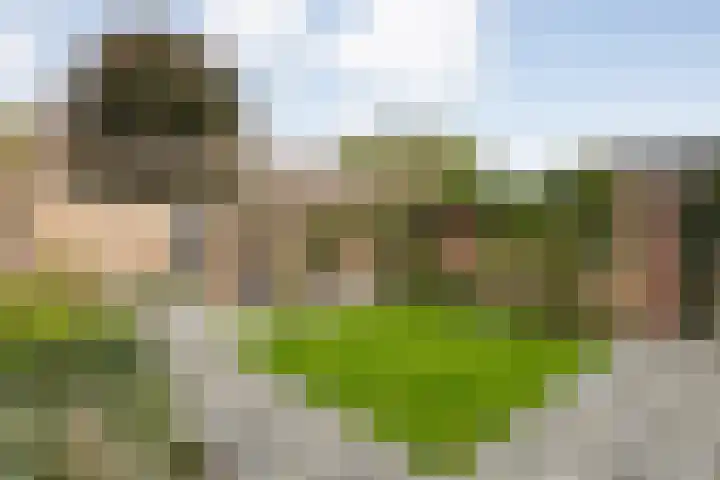 Te Werve 17 Almelo thumbnail 4
