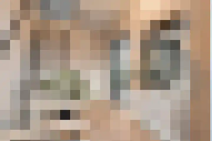 Te Werve 17 Almelo thumbnail 6