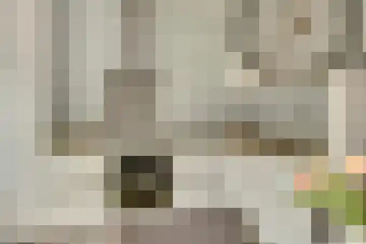 Te Werve 2 Almelo thumbnail 16