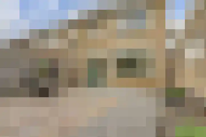 Te Werve 2 Almelo thumbnail 34