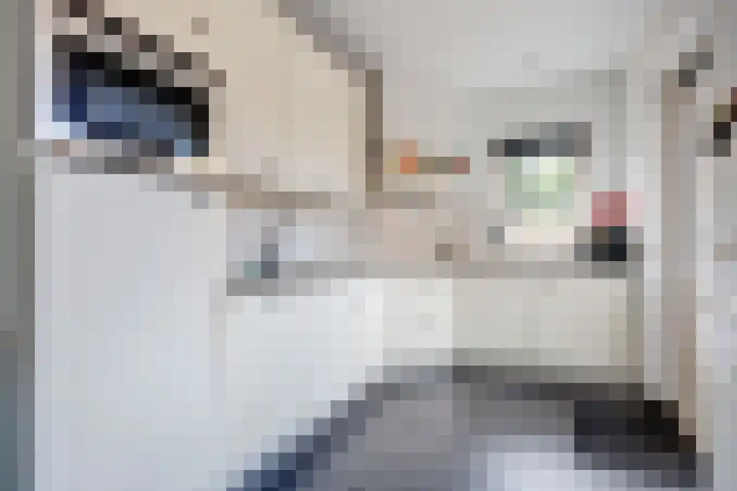 Te Werve 4 Almelo thumbnail 10
