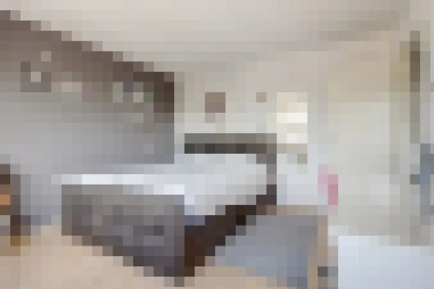 Te Werve 4 Almelo thumbnail 19
