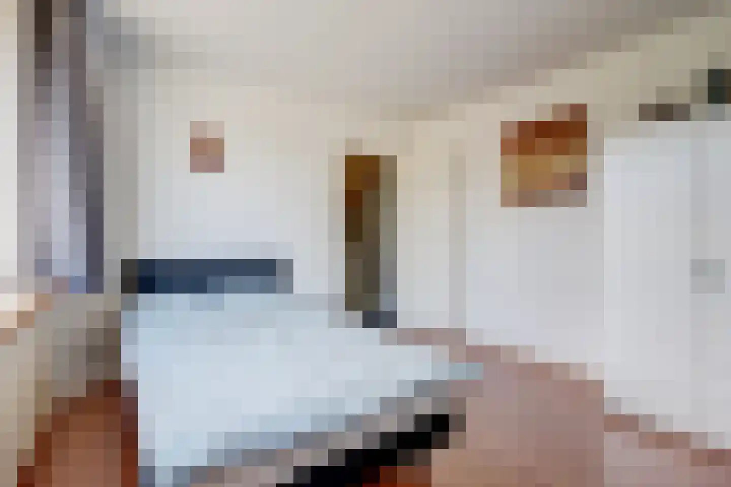 Te Werve 4 Almelo thumbnail 22
