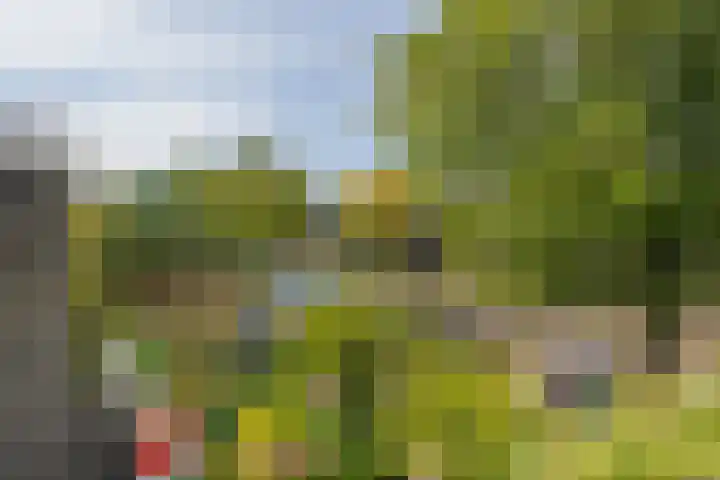 Te Winkelhof 17 Heemstede thumbnail 16