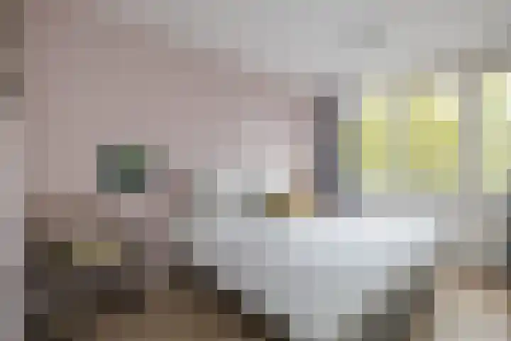 Te Winkelhof 17 Heemstede thumbnail 21
