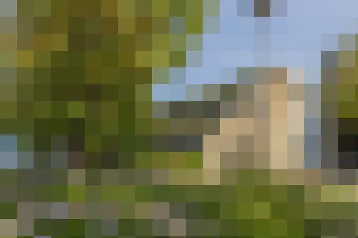 Te Winkelhof 17 Heemstede thumbnail 29