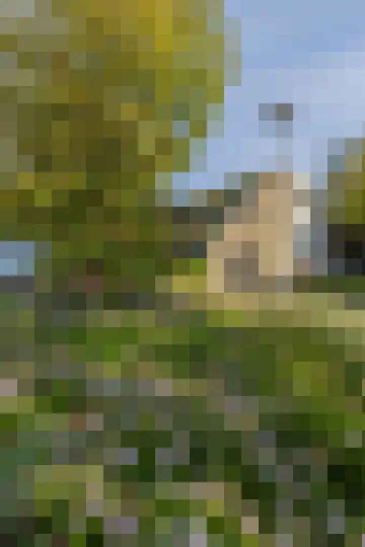 Te Winkelhof 17 Heemstede thumbnail 32