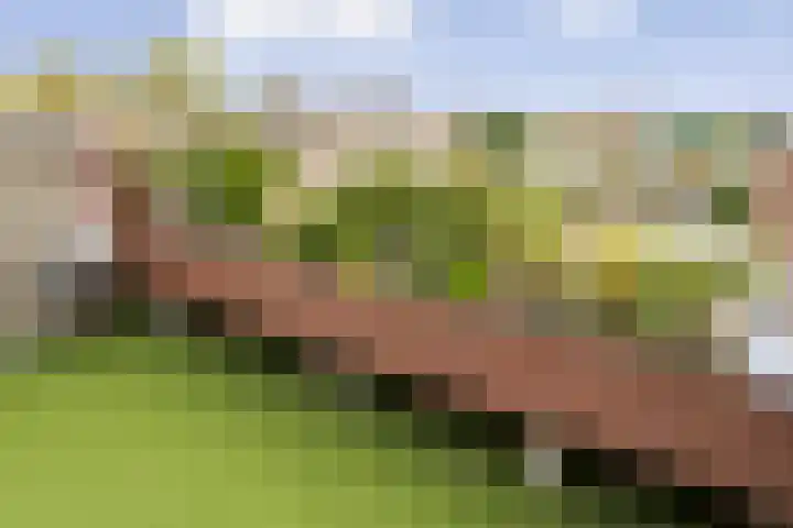 Te Winkelhof 4 Heemstede thumbnail 26