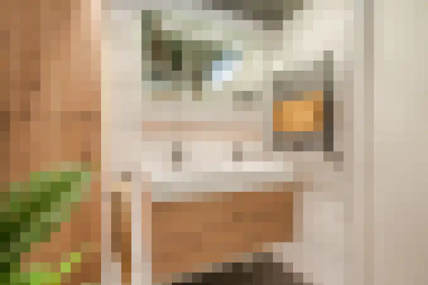 Te Winkelmarke 26 Zwolle thumbnail 25