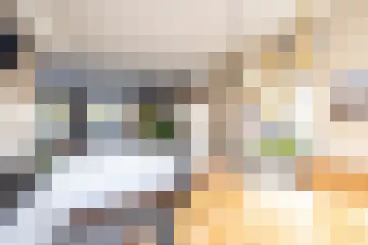 Te Wyle 14 Doesburg thumbnail 11