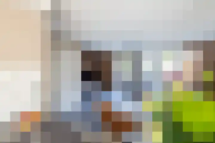 Te Wyle 14 Doesburg thumbnail 12