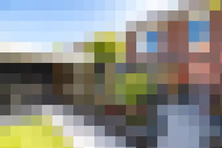 Te Wyle 14 Doesburg thumbnail 15
