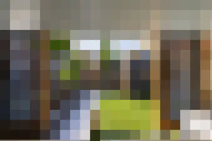 Te Wyle 14 Doesburg thumbnail 17