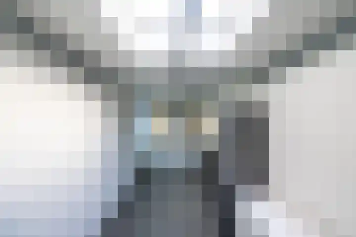 Te Wyle 14 Doesburg thumbnail 26