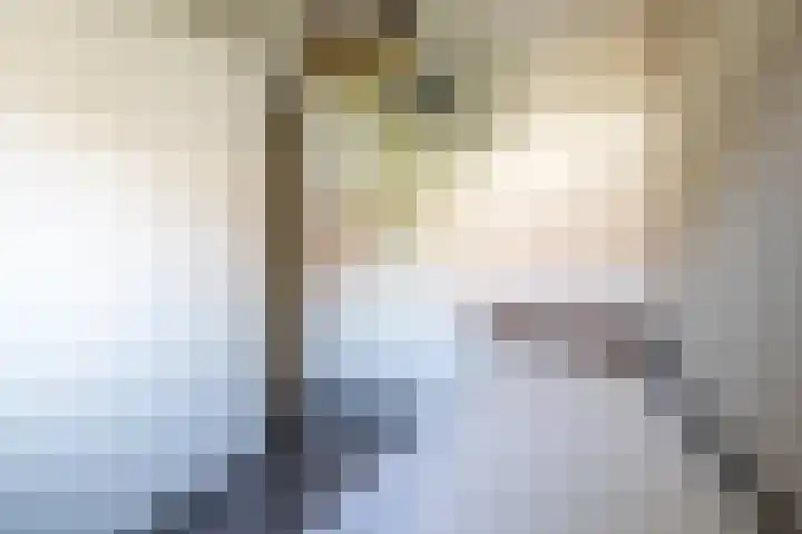 Te Wyle 14 Doesburg thumbnail 37