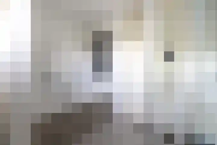 Te Wyle 14 Doesburg thumbnail 41