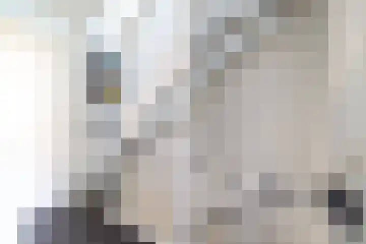 Te Wyle 14 Doesburg thumbnail 42