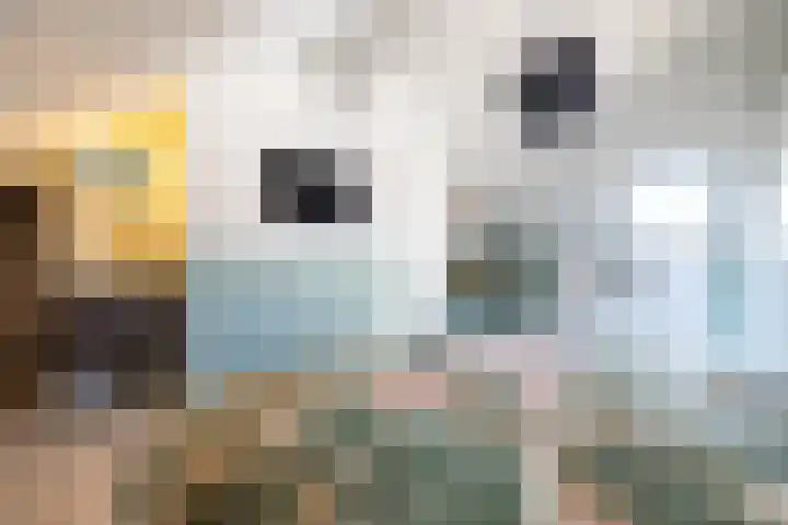 Te Wyle 14 Doesburg thumbnail 45