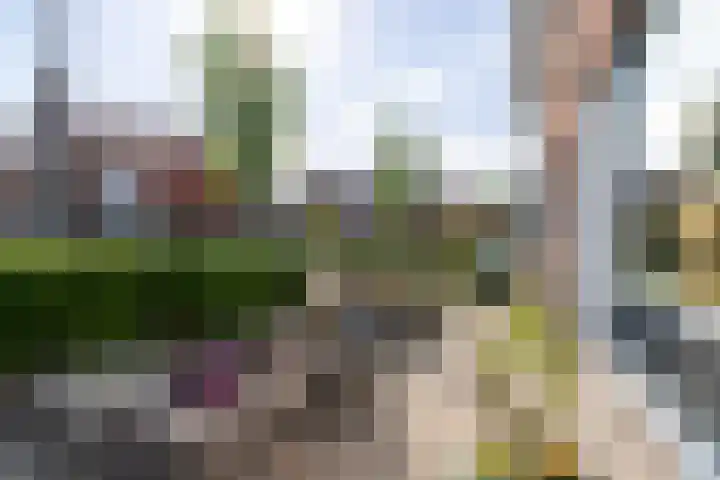 Te Wyle 14 Doesburg thumbnail 50