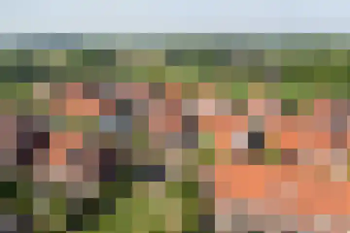 Te Wyle 14 Doesburg thumbnail 56