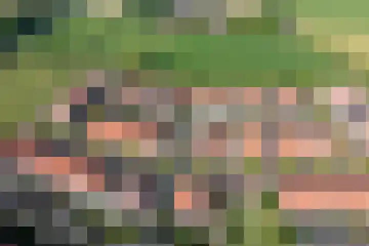 Te Wyle 14 Doesburg thumbnail 57