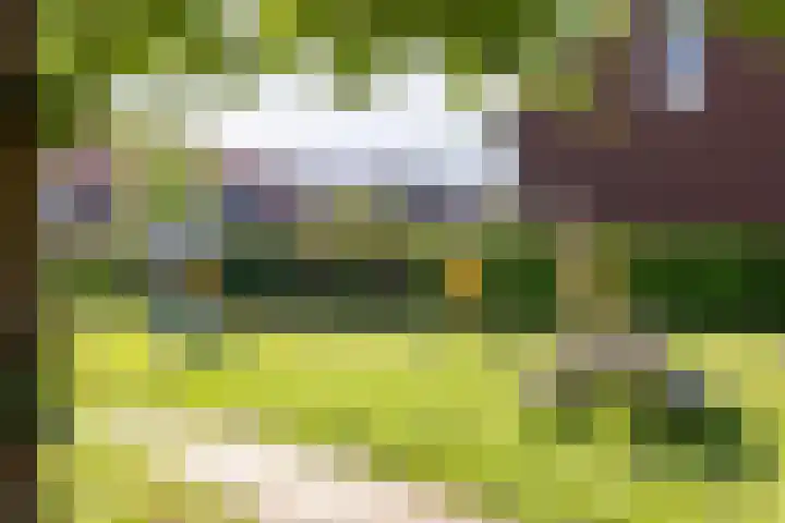 Te Wyle 14 Doesburg thumbnail 58