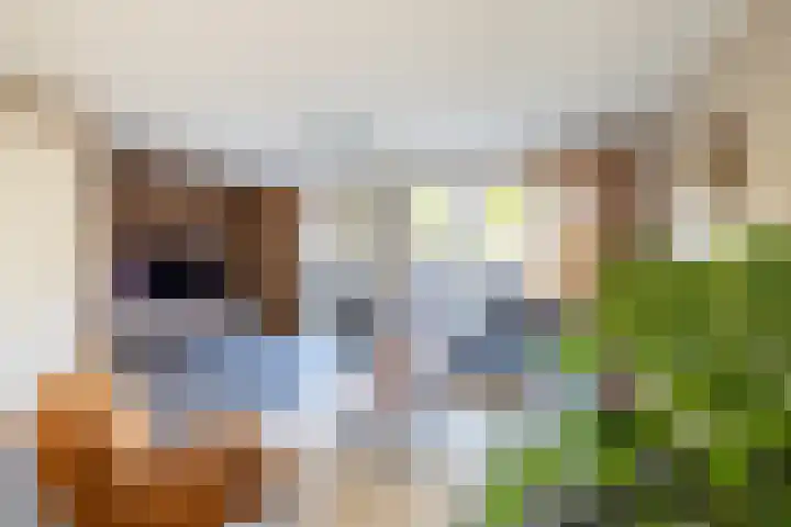 Te Wyle 14 Doesburg thumbnail 8