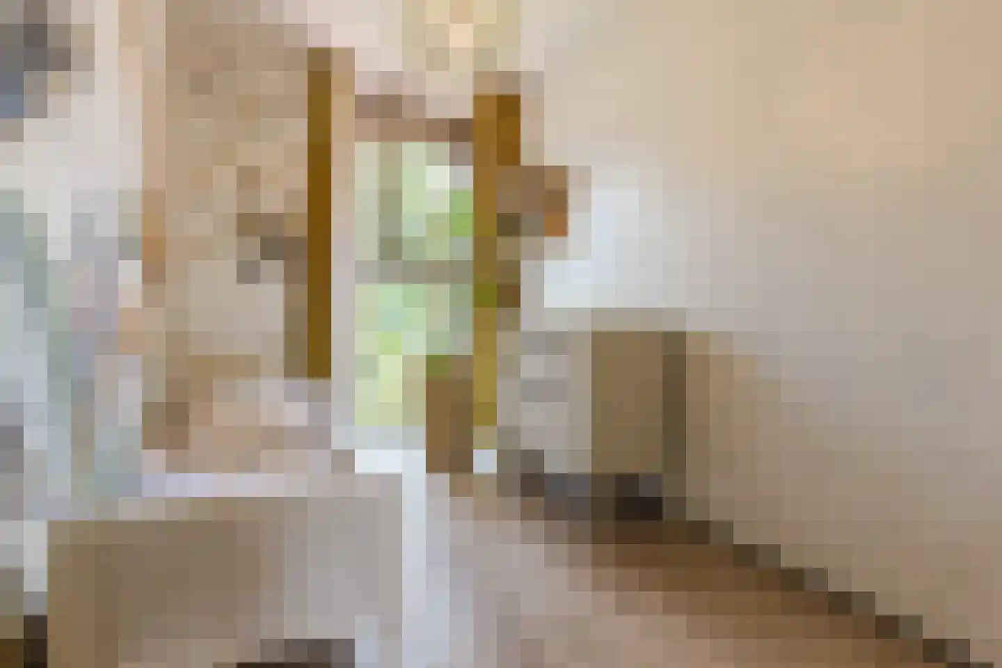Teakhout 119 Zaandam thumbnail 16