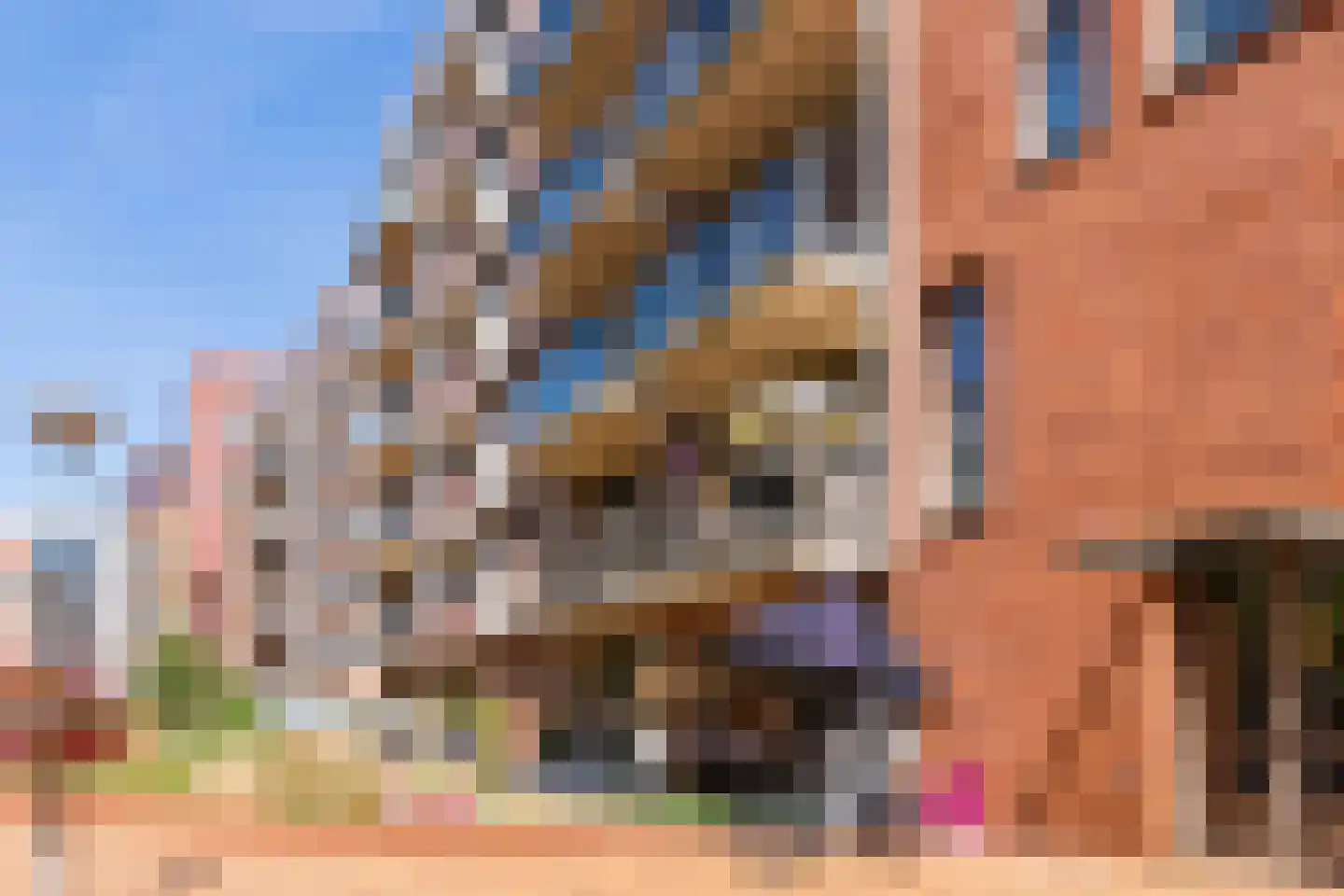 Teakhout 119 Zaandam thumbnail 36